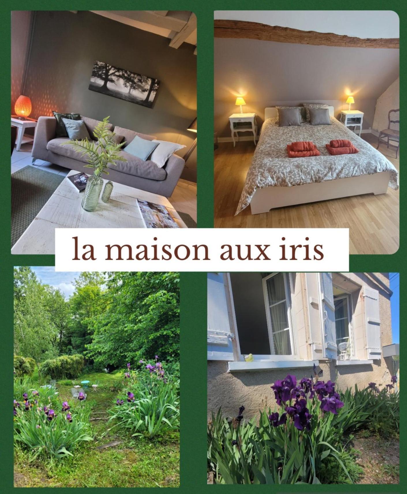 La Maison Aux Iris Pocé-sur-Cisse Kültér fotó