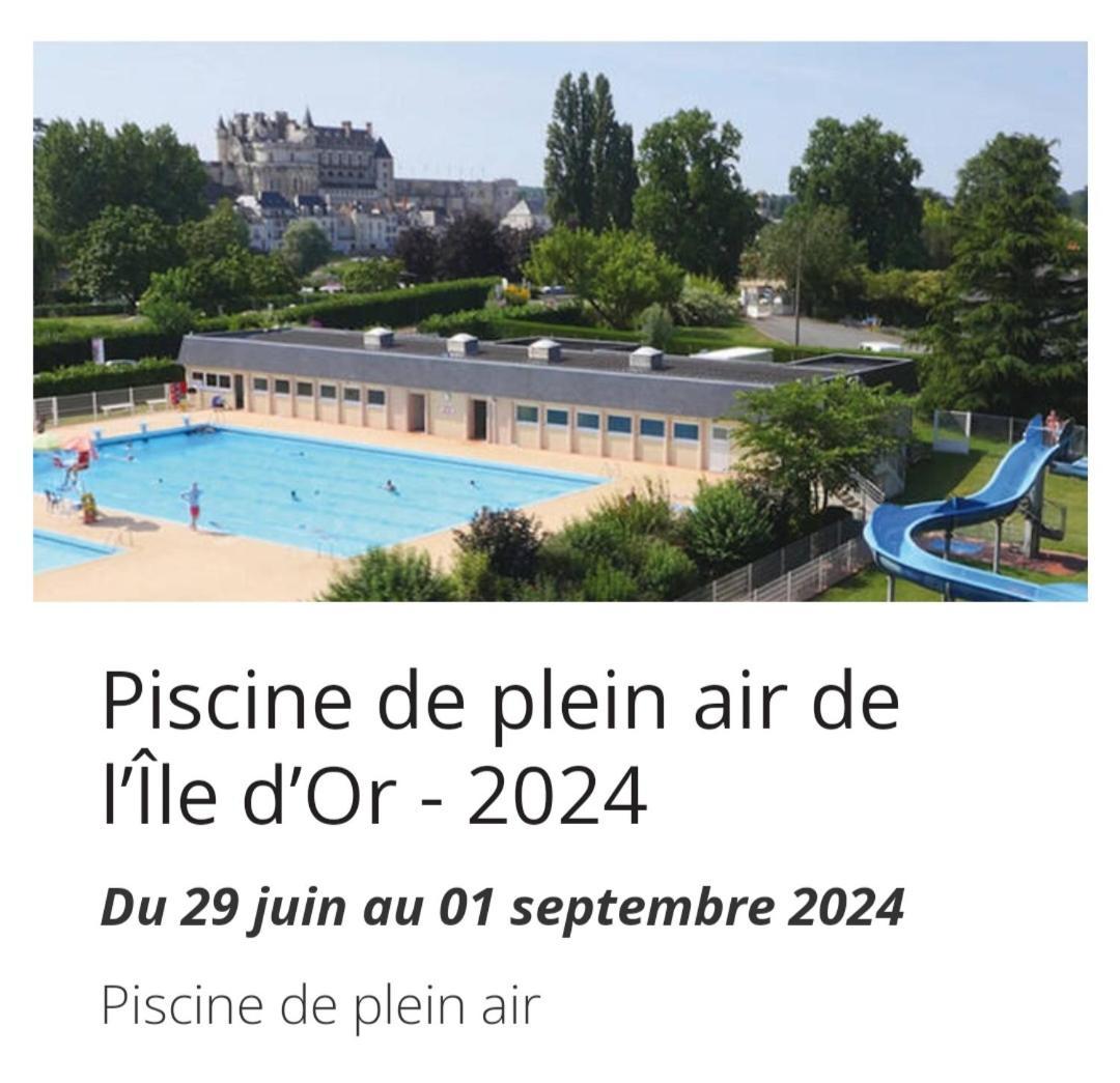 La Maison Aux Iris Pocé-sur-Cisse Kültér fotó