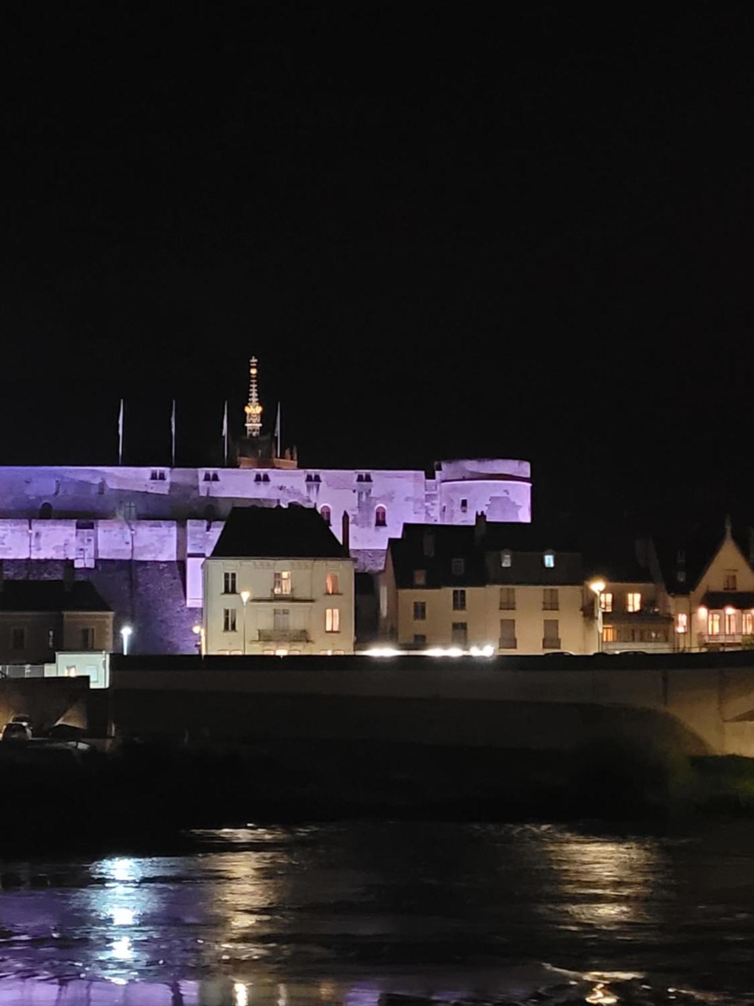 La Maison Aux Iris Pocé-sur-Cisse Kültér fotó