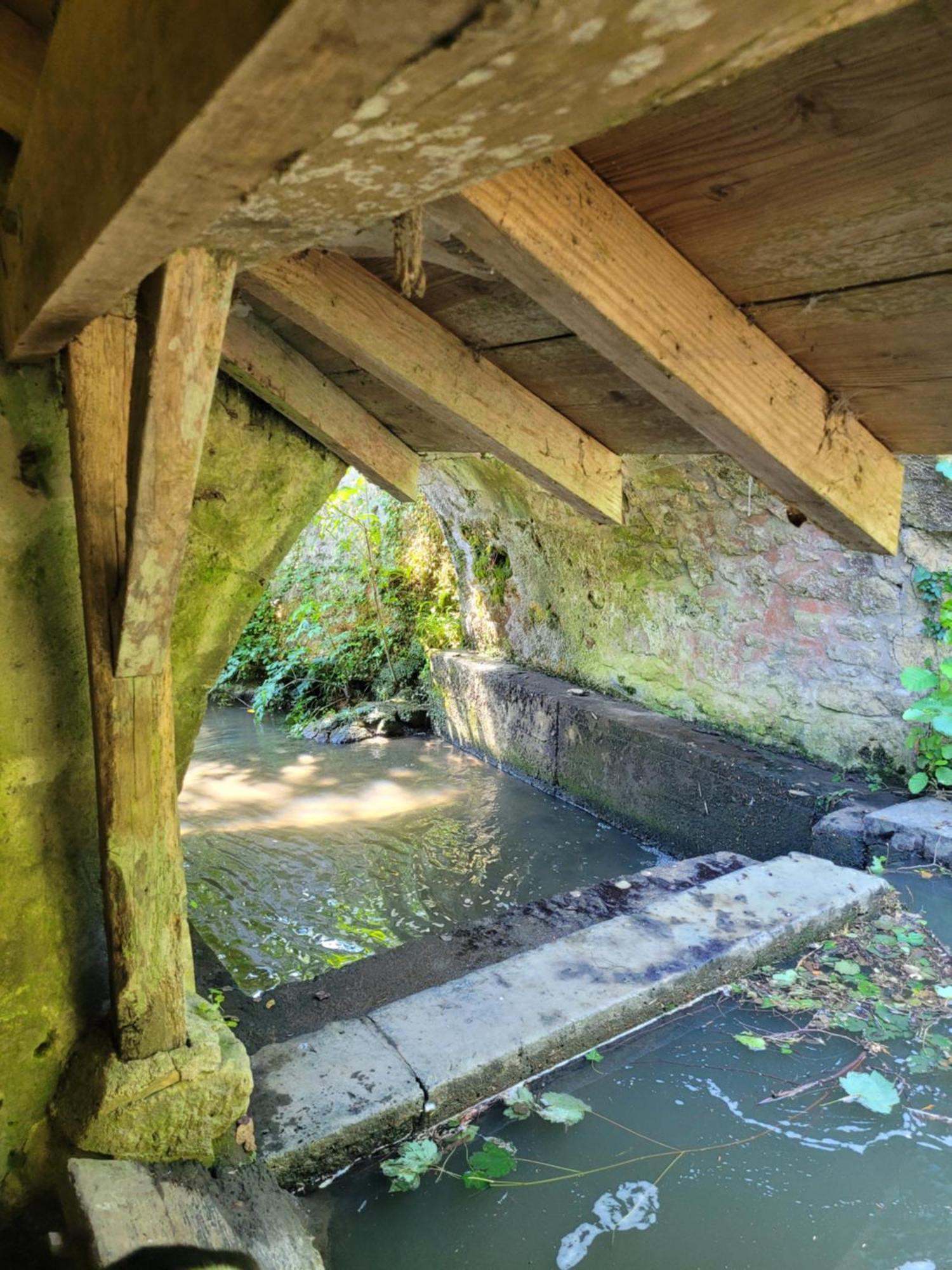 La Maison Aux Iris Pocé-sur-Cisse Kültér fotó
